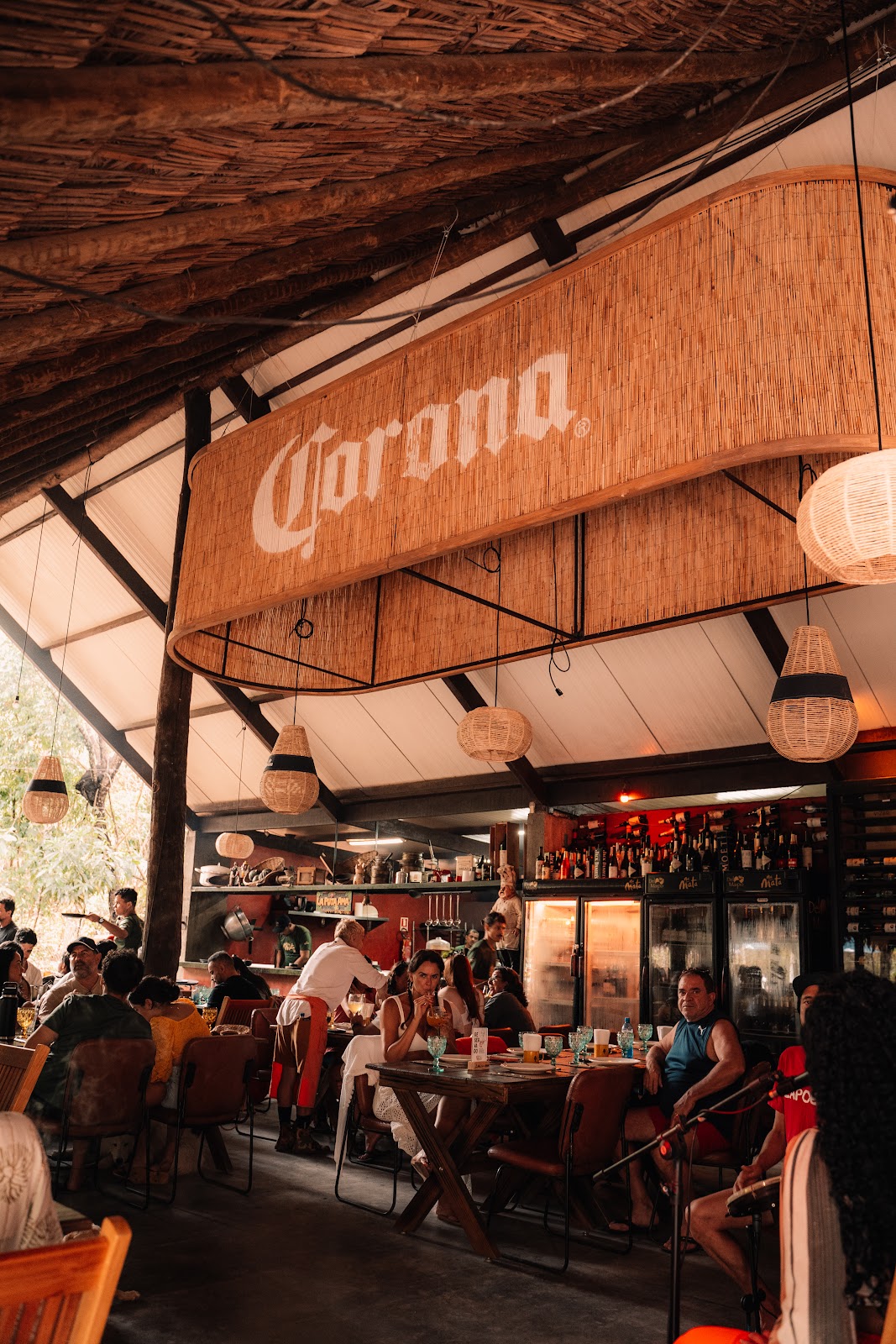 Na Mata Chapada - Terra Alimento e Calor